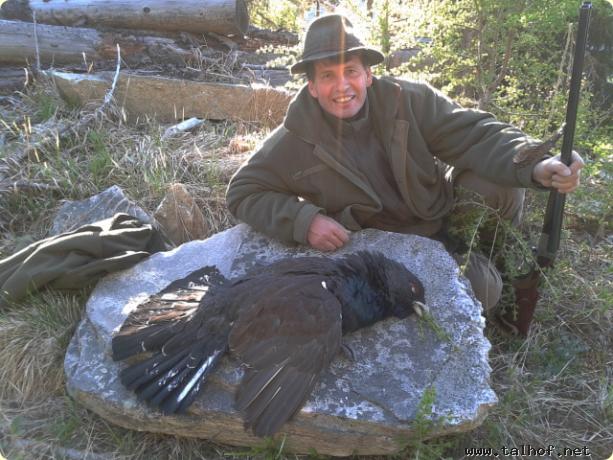 Hermann`s erster Auerhahn 2012